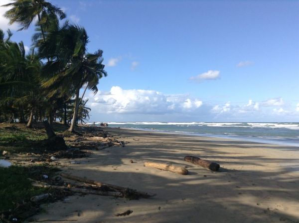 Land Lot for Sale directly on the beach | Bienes Raices Republica Dominicana 