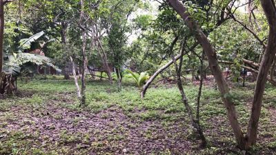 Plot with Strategic Location in Santiago of 6289 m2. | Real Estate in Dominican Republic