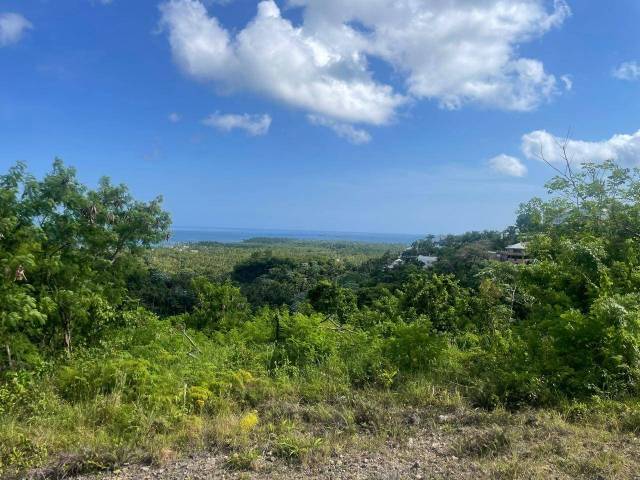 Terrain 10,000 m2 à las Terrenas | Immobilier en République Dominicaine