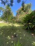  | Bienes Raices Republica Dominicana 
