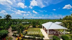  | Real Estate in Dominican Republic