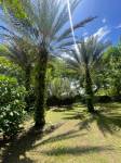  | Bienes Raices Republica Dominicana 