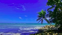  | Real Estate in Dominican Republic