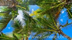  | Bienes Raices Republica Dominicana 