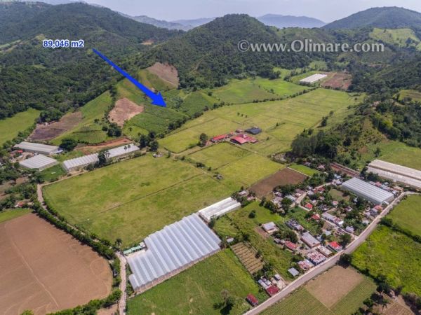 Farm 700 m von der Höhe und 200 m von der Asphalt Road entfernt. | Immobilien in der Dominikanischen Republik