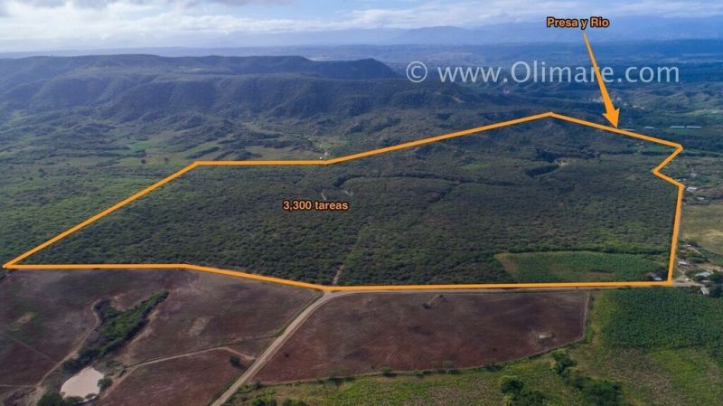 Ferme de 3 900 tâches à Mao qui borde la rivière Amina avec une eau abondante. | Immobilier en République Dominicaine