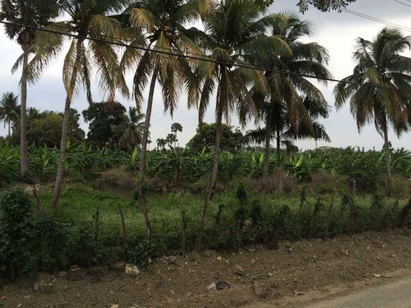 Finca en una de las tierras más productivas del Cibao | Bienes Raices Republica Dominicana 