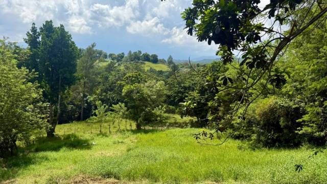 Oportunidad Terreno amplio, con excelente topografía (desde 1,396 mts2)  | Bienes Raices Republica Dominicana 