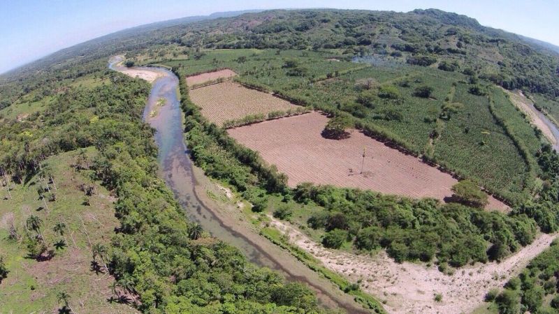 Ferme avec 1 730 tâches dans la production de bananes. | Immobilier en République Dominicaine