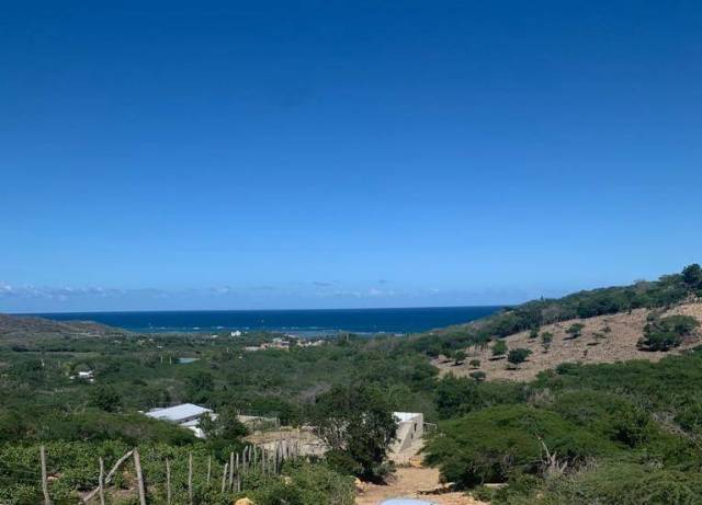 Ferme à Montecristi, près de Playa Buen Hombre. | Immobilier en République Dominicaine