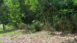  | Bienes Raices Republica Dominicana 