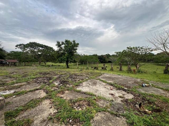 Terreno en venta en San Francisco de Macoris, ideal para desarrollo inmobiliario. | Bienes Raices Republica Dominicana 