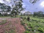  | Bienes Raices Republica Dominicana 