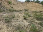  | Bienes Raices Republica Dominicana 